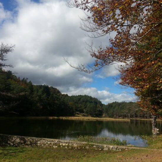 CONCEPTUALIZACIÓN Y PLAN DE NEGOCIO DEL PARQUE DE MONTAÑA LA TUCA – ESPAÑA